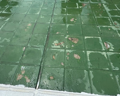 新竹防水施工, 新竹防水工程, 新竹屋頂防水, 新竹防水工程, 新竹防水施作, 新竹頂樓防水, 
                    新竹屋頂防攻略, 新竹頂樓防水施作, 新竹頂樓防水費用