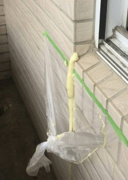 �s���_�s������`, �s���_�s�𭱺���